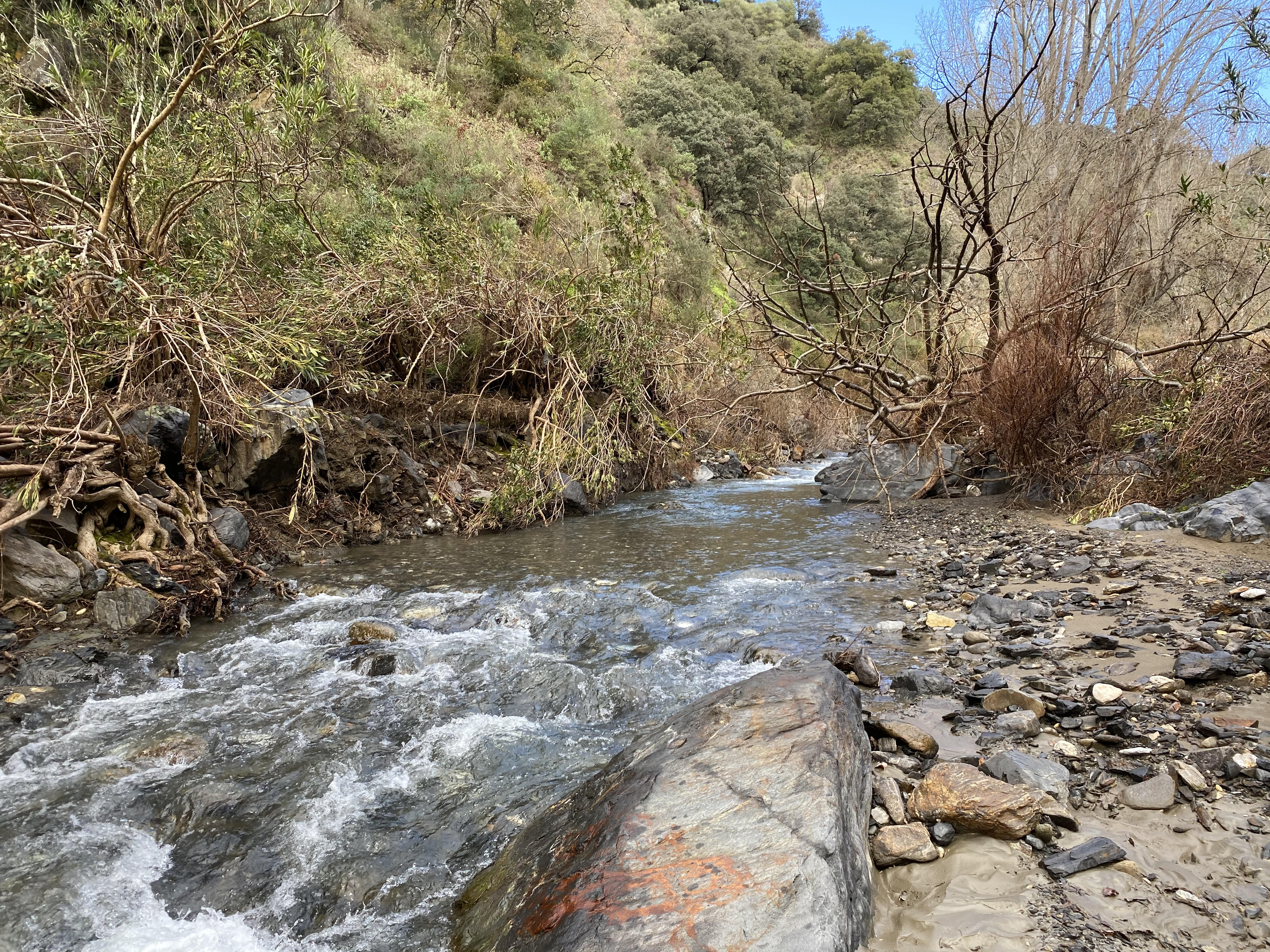 WP2 sampling the Genal River in Spain. Photos: N. Bonada