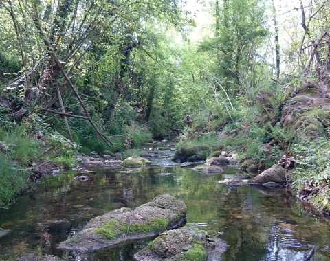 Figure 1. River channel with water flowing. Onyar River (Spain). ©N.Cid.