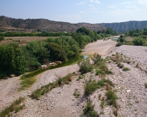 Figure 2. River channel with disconnected pools. Matarraña River (Spain). ©N.Cid.